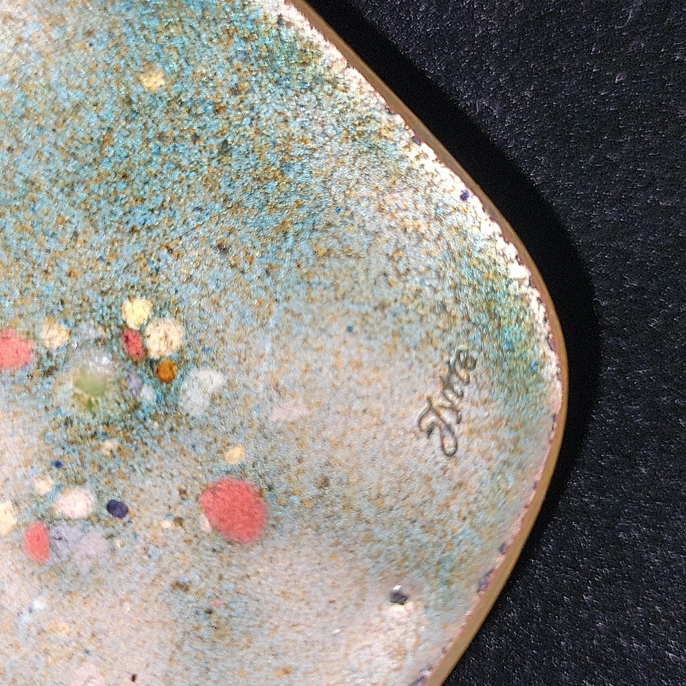 Shell looking - Picture 3 of 5
